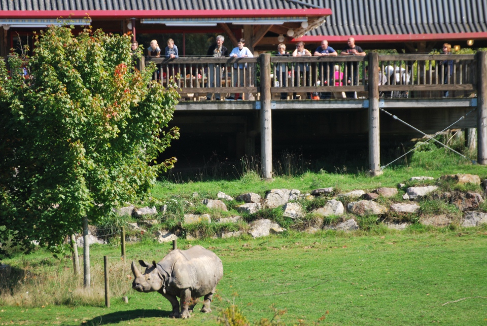 Terrasse du restaurant La Pagode au-dessus de l'espace des rhinocéros indiens.