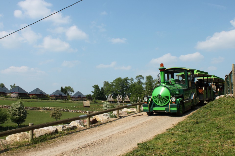 Safari train vert sur le chemin du parc Cerza.
